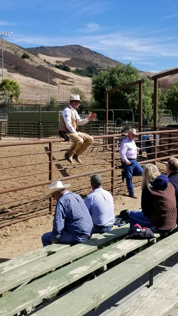 2406D6F5-C8E4-47F0-80DE-211A4CBE9EBD