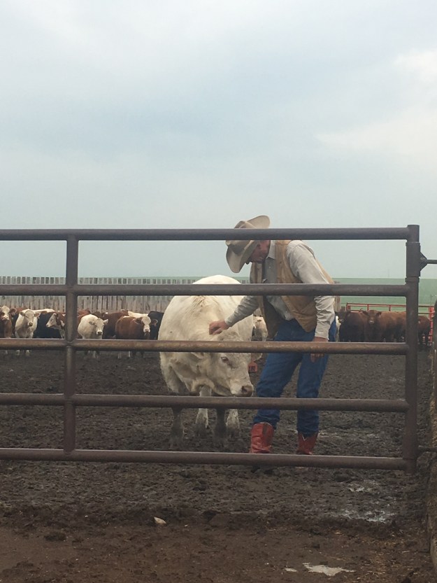 5D267725-98B6-4D59-BF21-4B9EC2CB9DE2