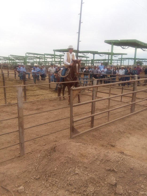 073FF9A5-B864-4C2F-A707-C8AAECEDB13C