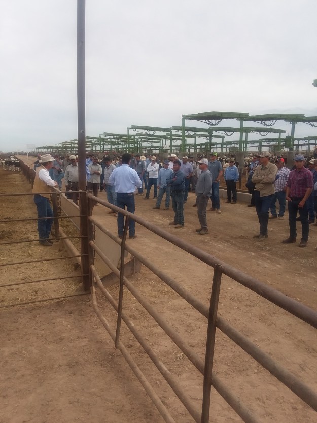 3AB8070B-14A2-4317-A5E8-E2246246D180