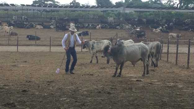 66F2D804-F42D-41AD-833D-8A4DD823FAC1