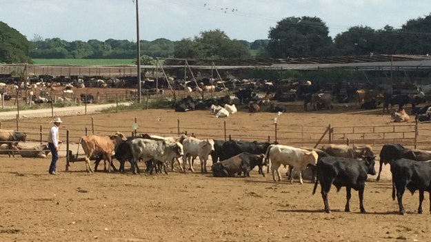 7D274EC2-B2D6-46AA-B8A3-C9AFFB32BC0E