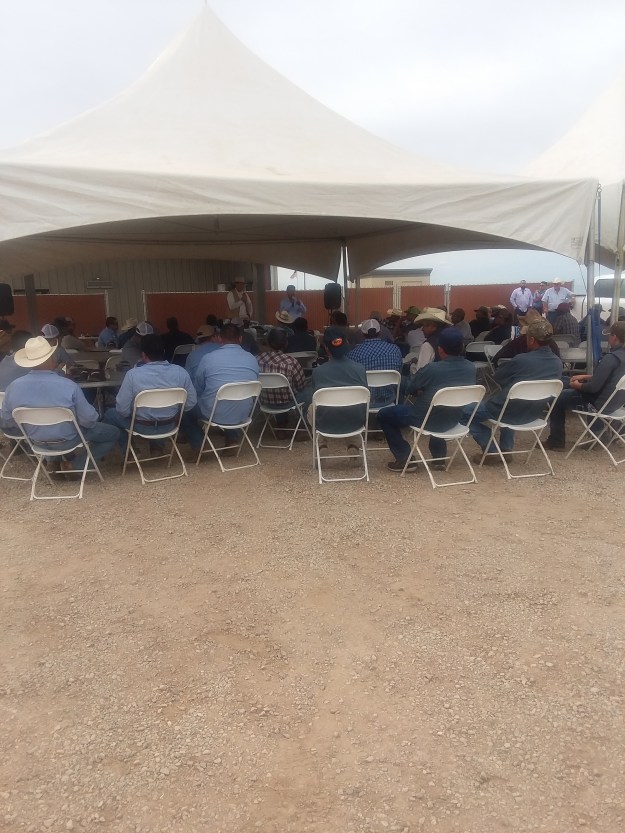 8FB86F26-F9DE-45F4-85B4-F792484115D3