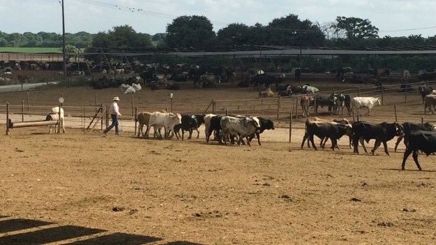 AFCDFBCD-F3E8-4B77-A0A1-585FAEB41100