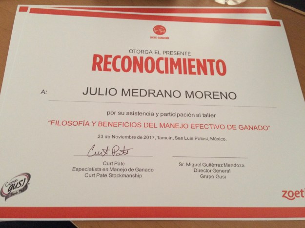 D9948B7E-D823-4113-B4B1-919F00FE72B0