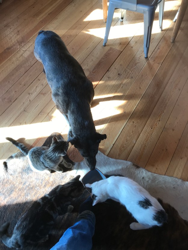 B19F9240-8C48-403C-8E06-2DFAE5216887