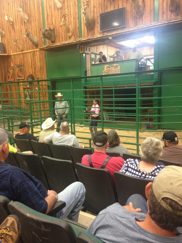 4ECD4C88-AF0F-4615-8CB6-42F25305C3B7