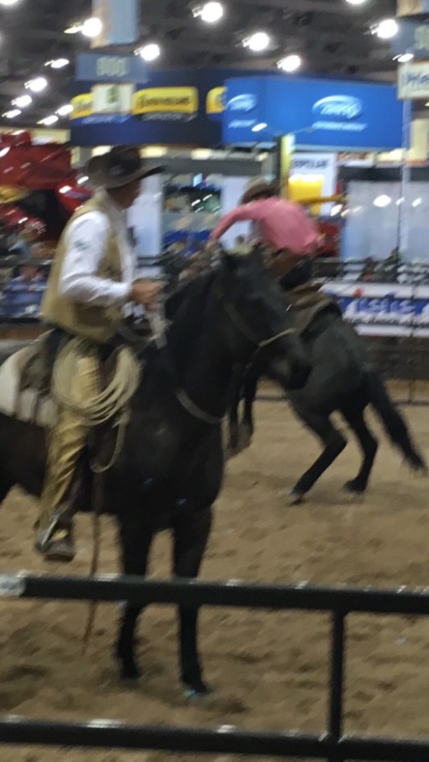 A6484600-B2EC-4B0E-8AEB-14FCD06CB567