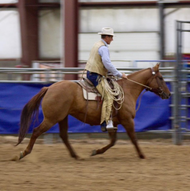 F928AF21-6266-4C64-8273-4F776B7B877E