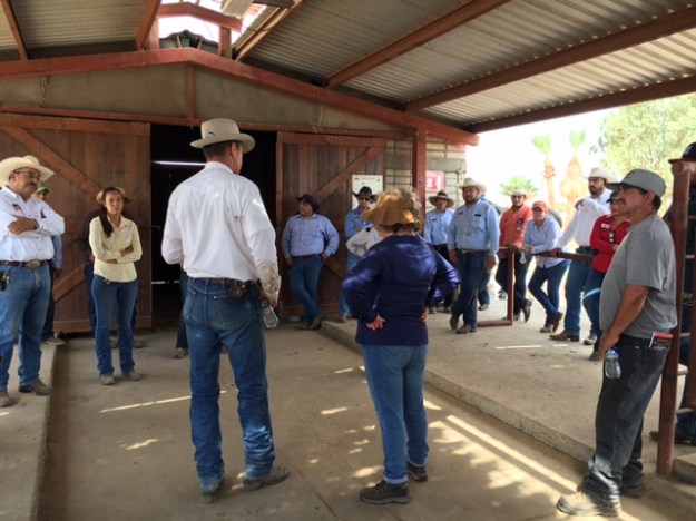 3138196F-03DE-43EE-946B-B48B8552ED96