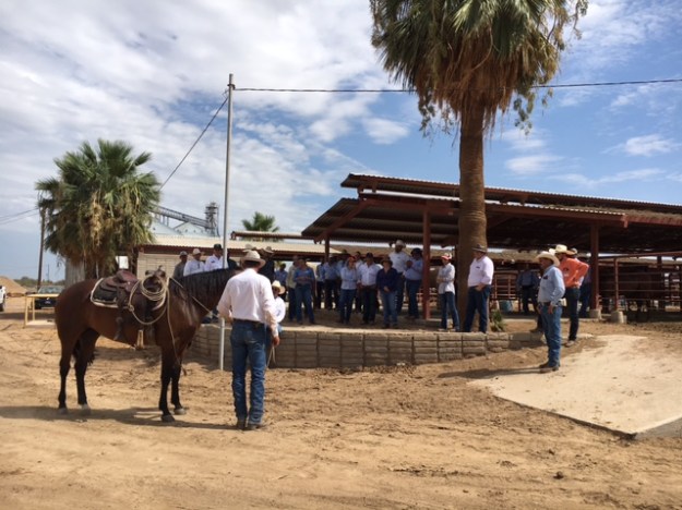 BB305988-0DF0-48B8-845A-4C95B3F27F75