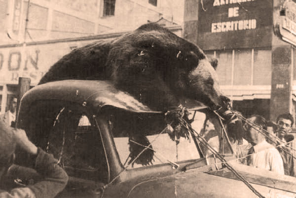 88CA0FA4-0C0B-4F74-86AB-1006822C2109