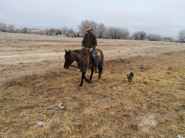 040AA211-C4BE-47CD-BB7A-BEDA82BB1328