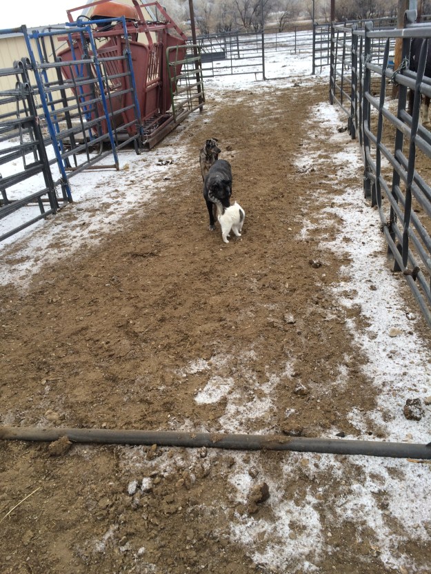 509E721A-ADB4-4CC1-870A-C3C4421200FD