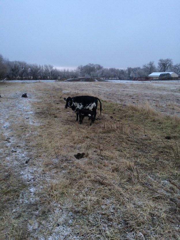 A6AF867B-9BAC-4A27-AC92-091D35099925