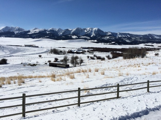 21C14409-9CF1-48C3-9912-7D9EA464883C